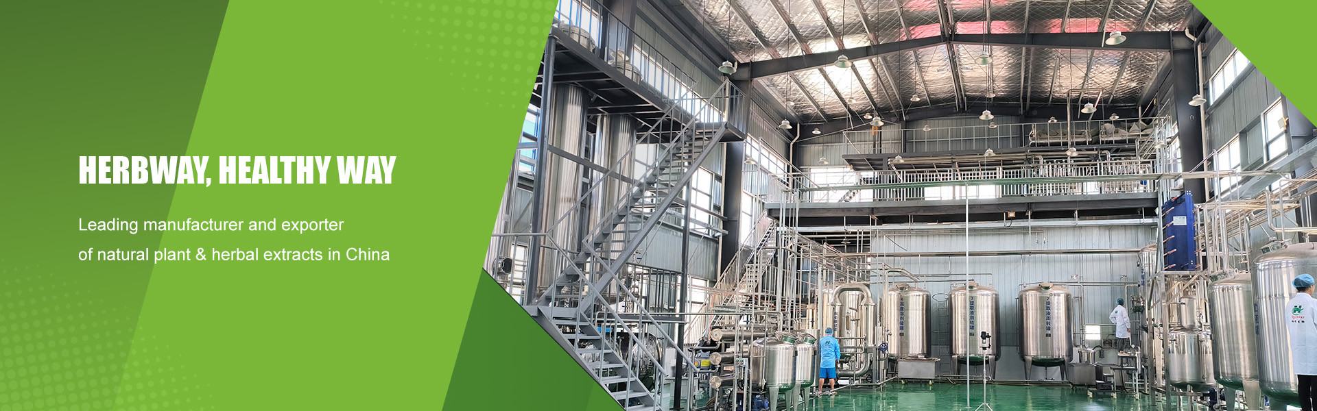 ποιότητας Φυτικό εκχύλισμα σε σκόνη εργοστάσιο