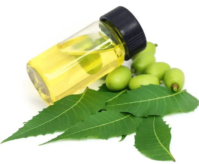 好的防脱生发产品代加工,什么是印楝洗发水[水信生物]